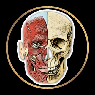 ATLAS DE ANATO — grupo Telegram