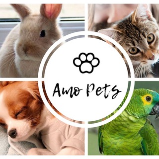 💕Amo Pets🐾 — grupo Telegram