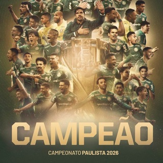 Arquibancada Alviverde PALMEIRAS 🟢⚪