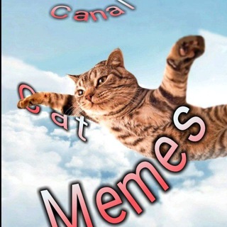 🐈 > CAT MEMES <🐈 — grupo Telegram