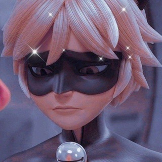Chat Noir Brasil 🖤🦋 — grupo Telegram