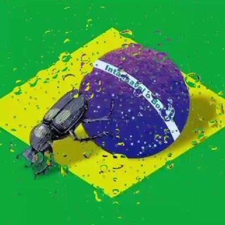 Como tanka o bostil? — grupo Telegram