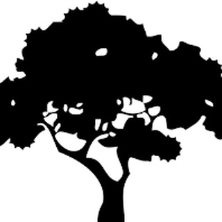 Concursos de Meio Ambiente 📚🌍 — grupo Telegram