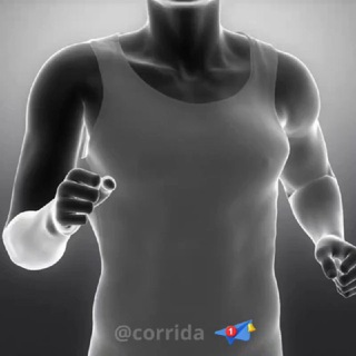 Corrida — grupo Telegram