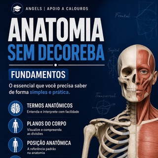 Descomplica Anatomia 📚 — grupo Telegram