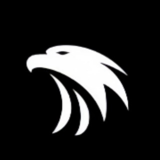 Foco em SEC 🦅🔒 — grupo Telegram