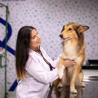 Med Vet 🤍🐾 — grupo Telegram