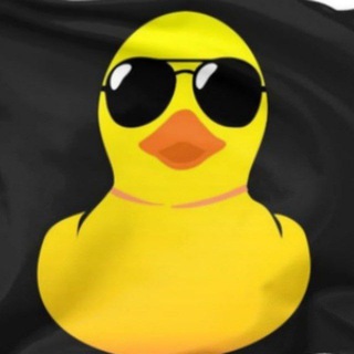 Meu Pato Cursos 🇧🇷 — grupo Telegram