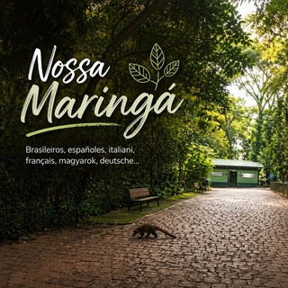 Nossa Maringá — grupo Telegram