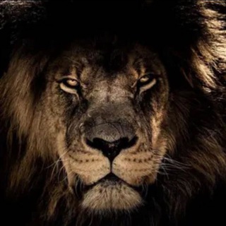 OPERATANGO — grupo Telegram