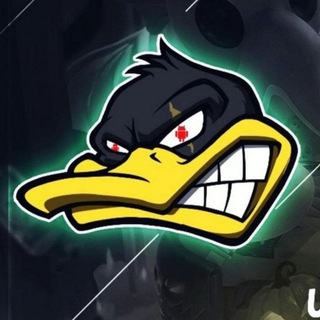 PATO TEAM — grupo Telegram