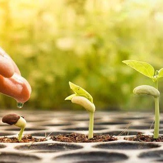 Para Refletir e Compartilhar — grupo Telegram