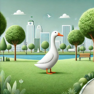 Pato Branco PR — grupo Telegram