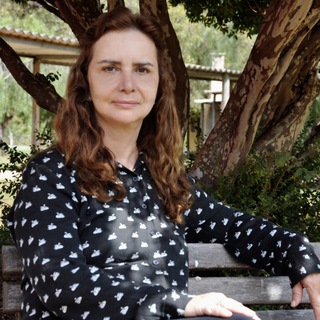Professora Lúcia Helena Galvão — grupo Telegram