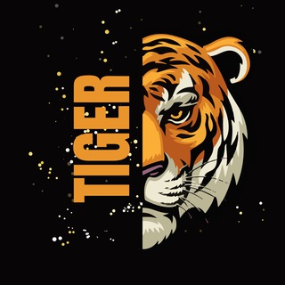 Tiger Eye | Cursos — grupo Telegram
