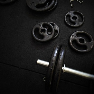 Treino Academia 💪🏻🦵🏻 — grupo Telegram