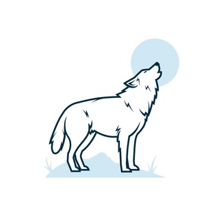 Wolf Ofertas - Promoções 🛍 — grupo Telegram