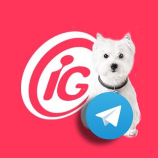 iG Gente — grupo Telegram