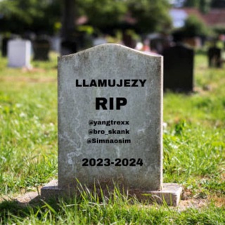 llamujezy - chat
