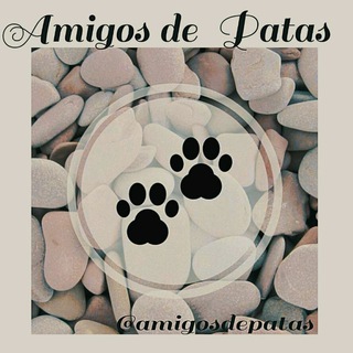 ᴀᴍɪɢᴏs ᴅᴇ ᴘᴀᴛᴀs🐾🐕🐾🐈🐾🐩 — grupo Telegram